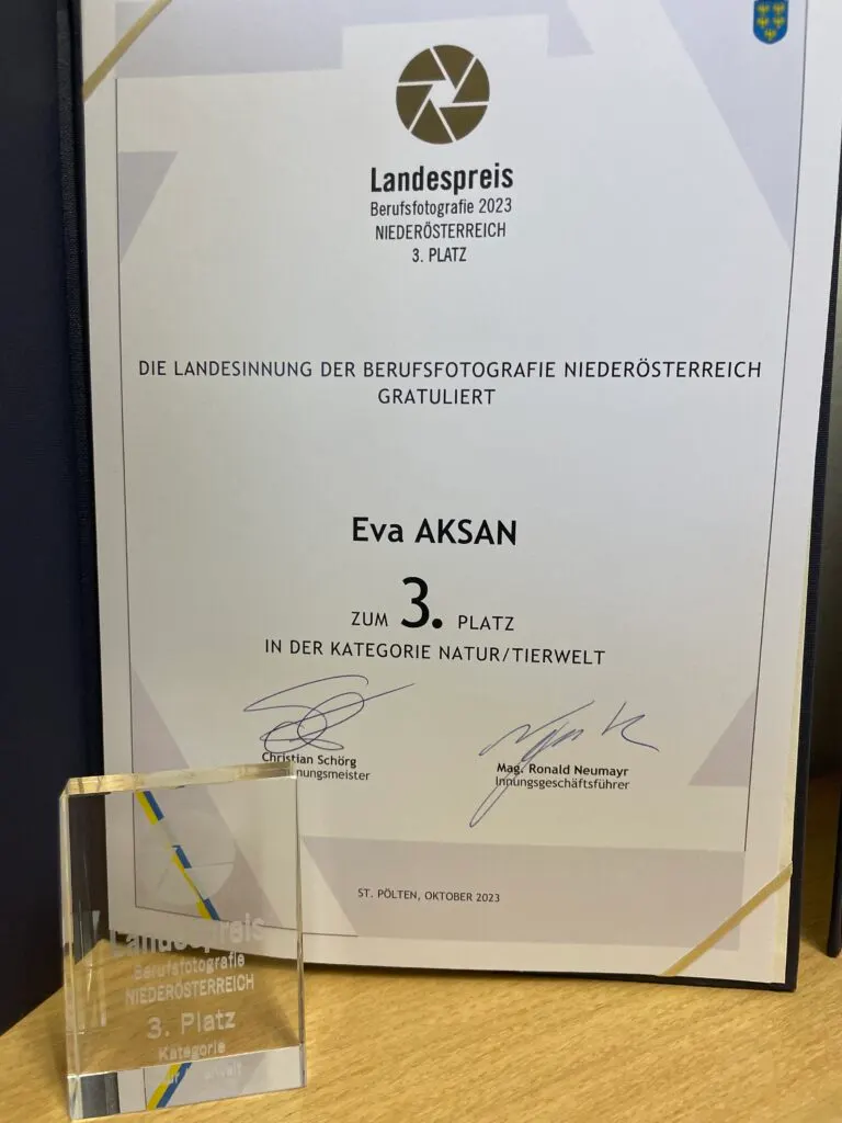 Urkunde Landespreis Berufsfotografie 2023, 3. Platz Kategorie Natur/Tierwelt für Eva Aksan, mit Glastrophäe