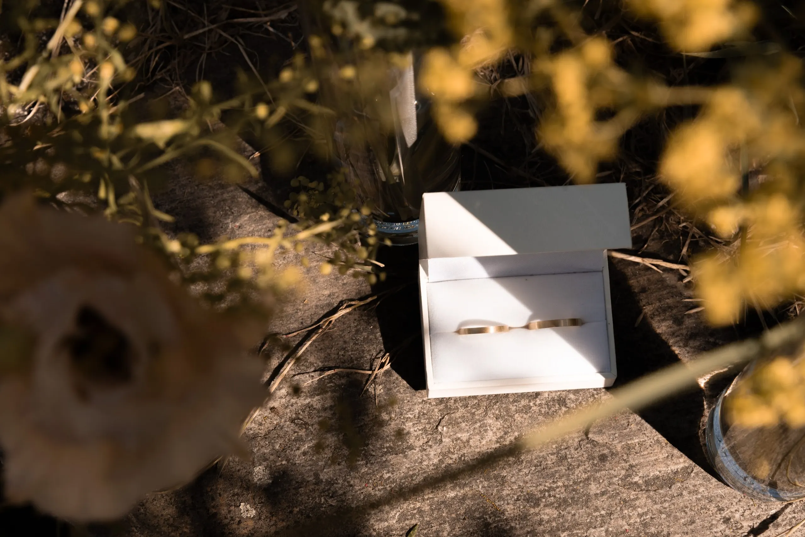 Eine Eheringbox liegt im Gras, umrahmt von unscharfen goldgelben Blüten